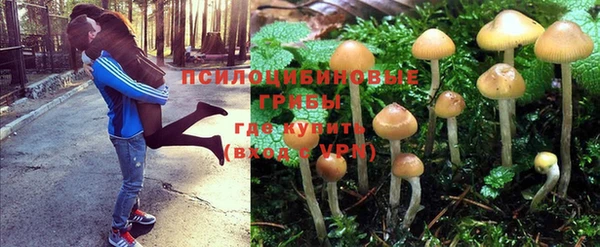 кокаин Алзамай