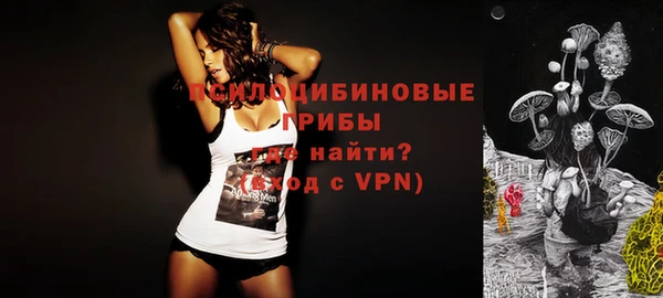 соль ск Абаза