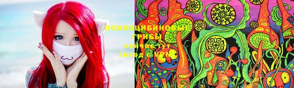 соль ск Абаза